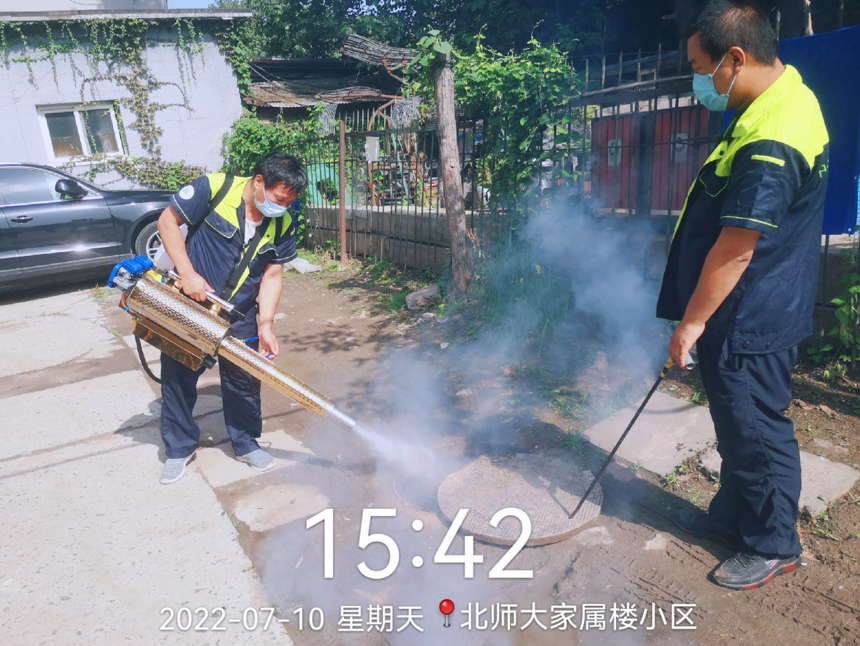 北京灭蚂蚁公司是怎么事情的？