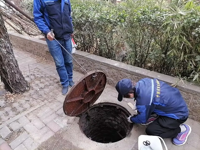 北京杀虫公司怎么挑选更合适呢？有哪些技巧