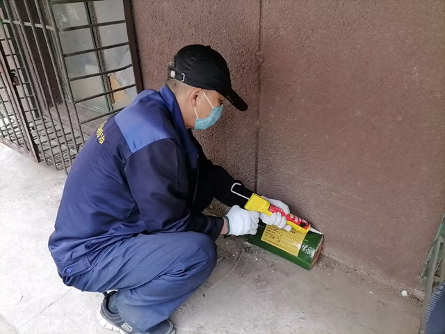 裕龙中央别墅区除四害公司400-619-6022凯时娱乐北京各区域灭蚊蝇捕鼠灭蟑螂