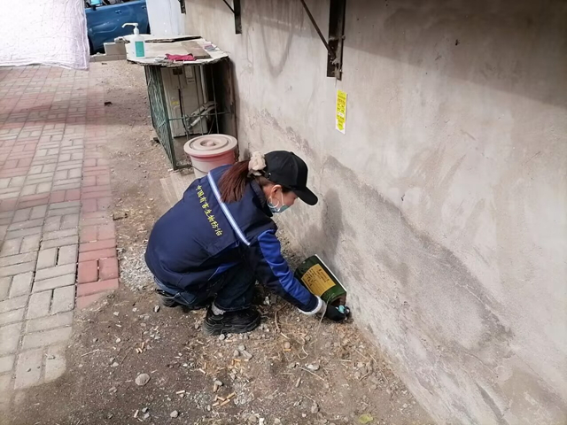 顺义方太阳城灭四害公司400-619-6022凯时娱乐北京杀虫灭鼠除蟑螂