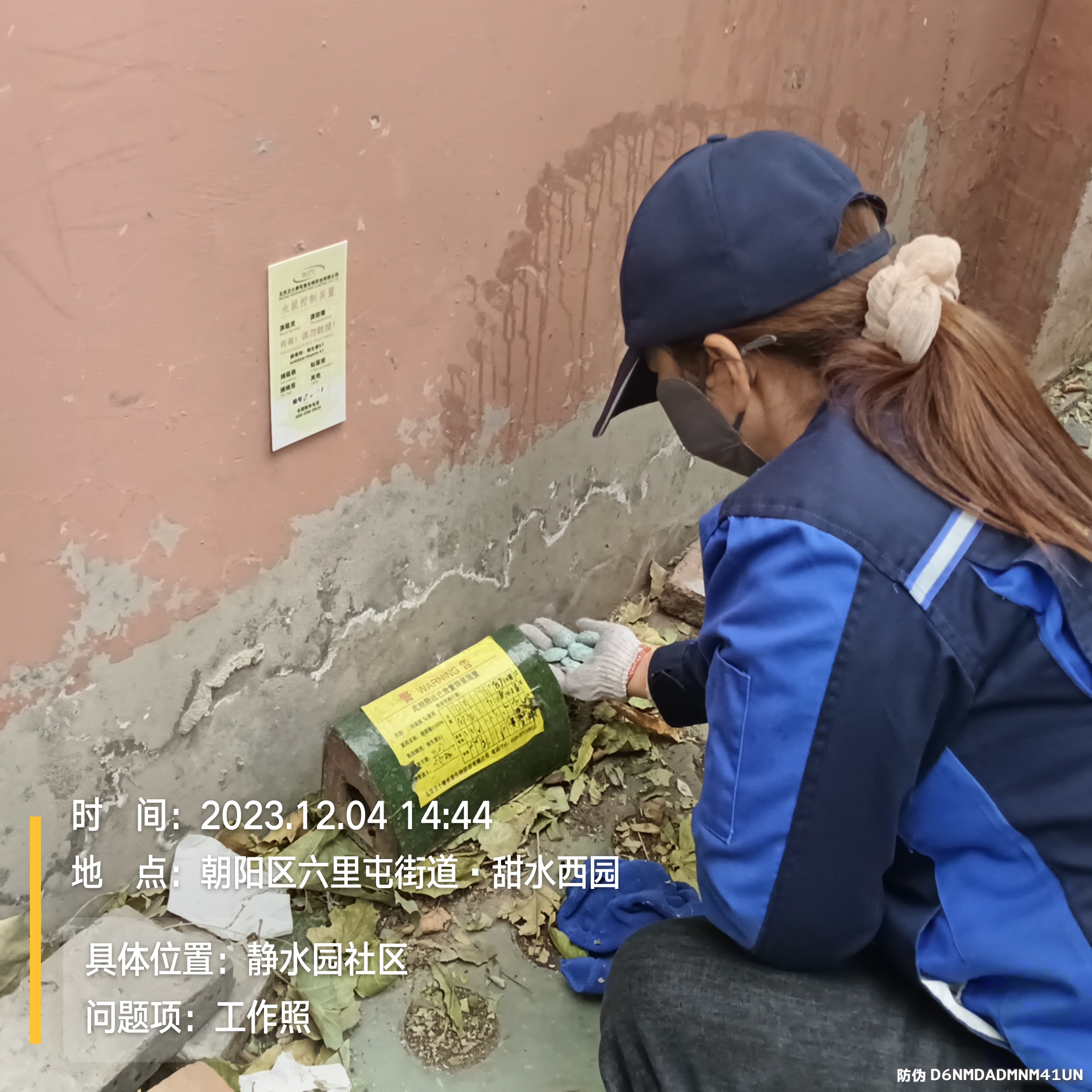 宣武区物业专业灭鼠  凯时娱乐北京广安门内灭蟑螂灭鼠灭蚊蝇公司