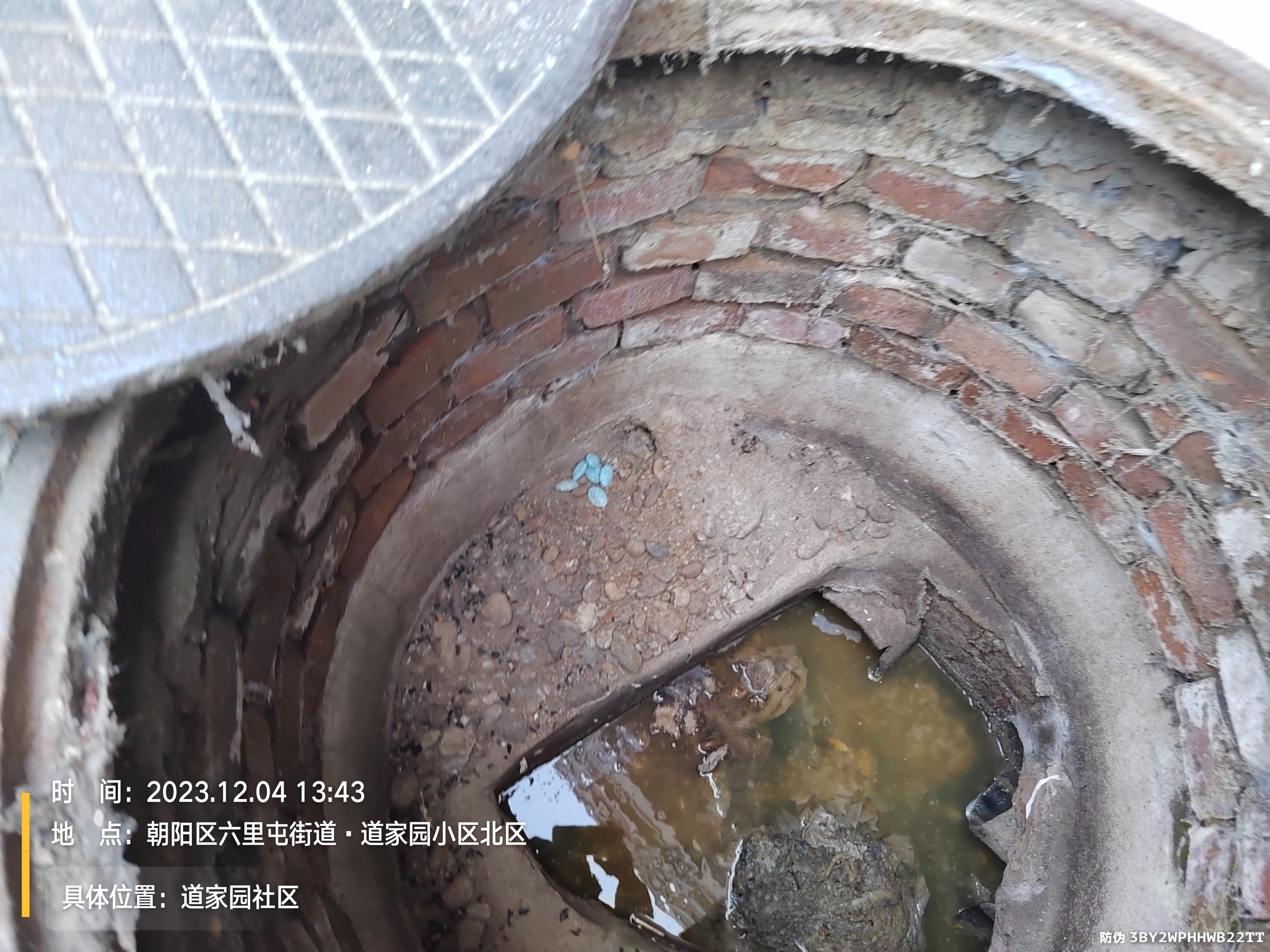 向阳区消杀公司  凯时娱乐北京除蟑螂