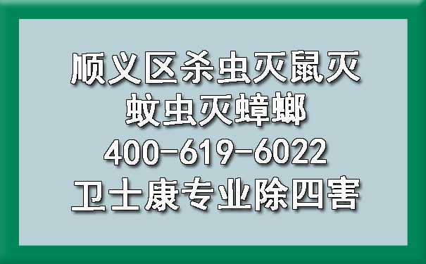 顺义区杀虫灭鼠灭蚊虫灭蟑螂400-619-6022凯时娱乐专业除四害