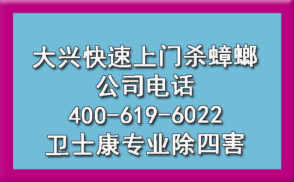 大兴快速上门杀蟑螂公司电话400-619-6022凯时娱乐专业除四害